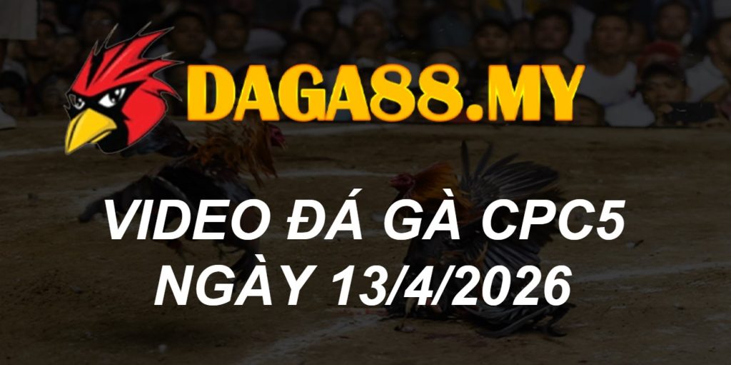 VIDEO GÀ CPC5 NGÀY 13/4/2026